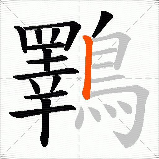 鸅