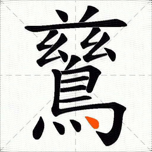 鶿