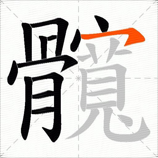 髖