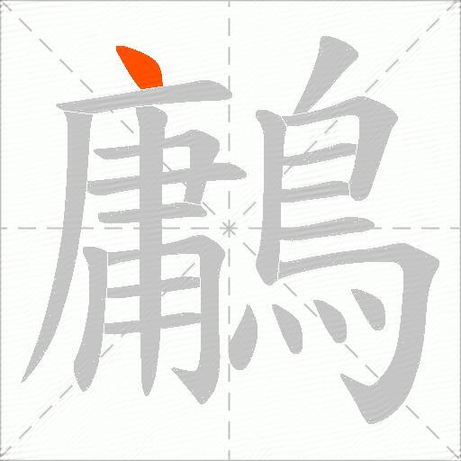 鷛