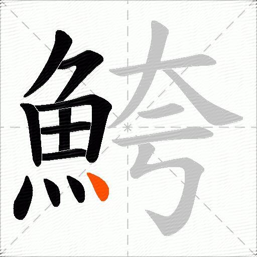 鮬