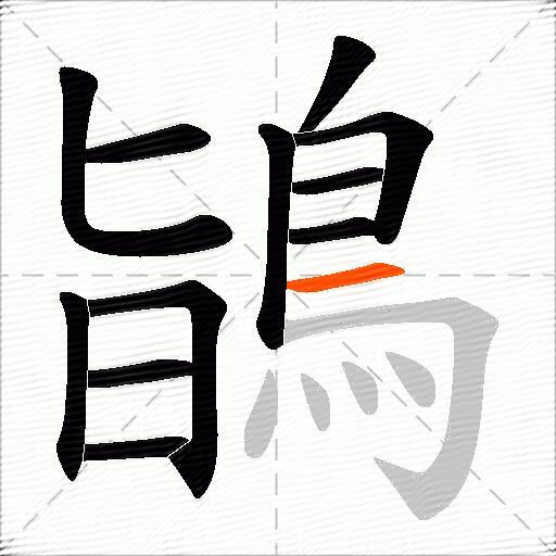 鴲