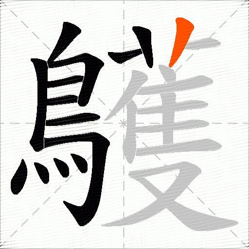 鸌