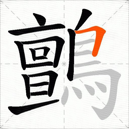 鸇
