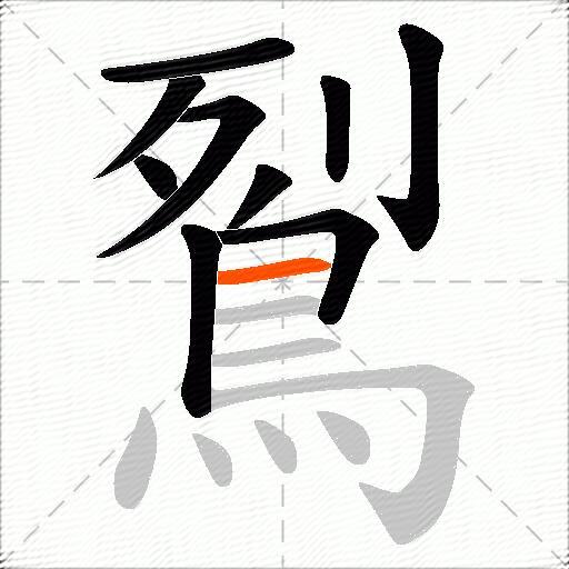 鴷