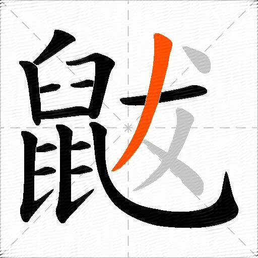 鼥