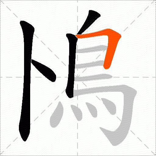 鳪