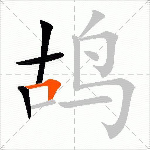 鸪