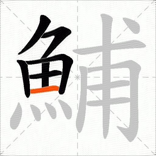 鯆