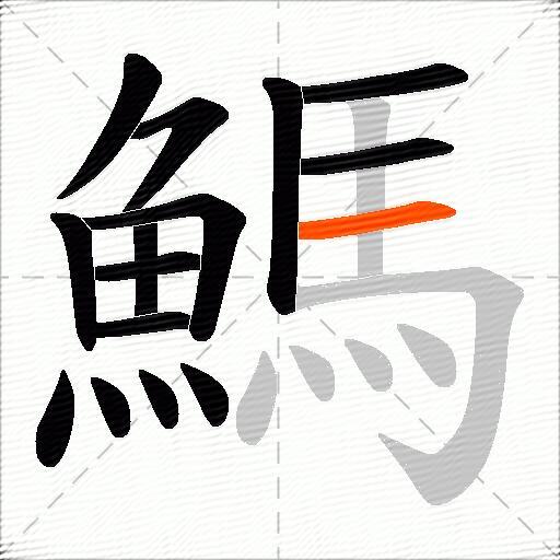 鰢