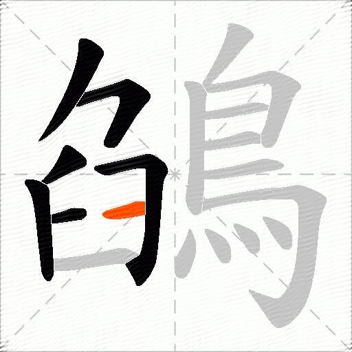 鵮