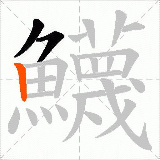 鱴