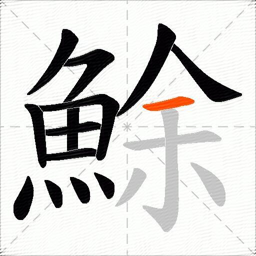 鮽