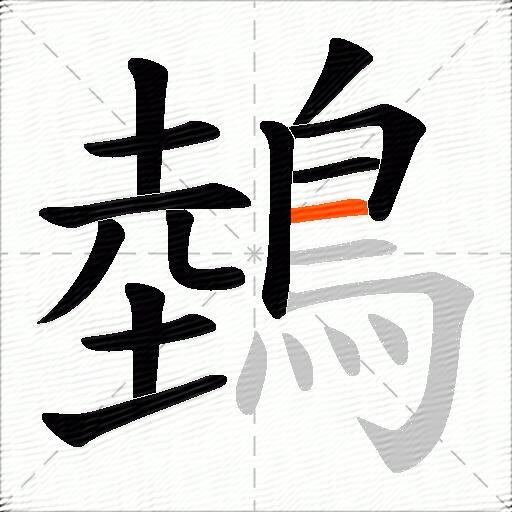 鵱