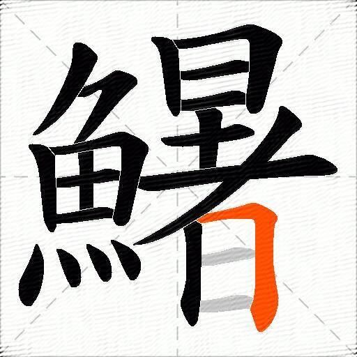 鱪