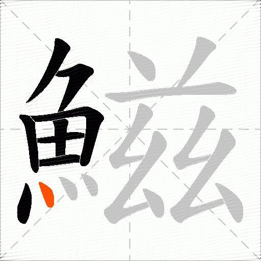 鰦