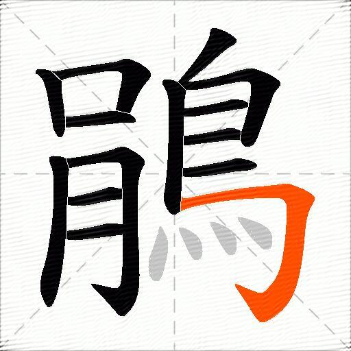 鵑