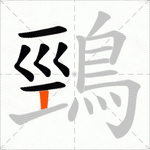鵛