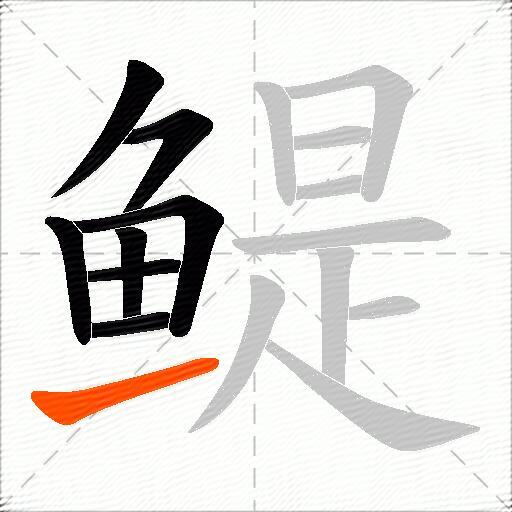 鳀
