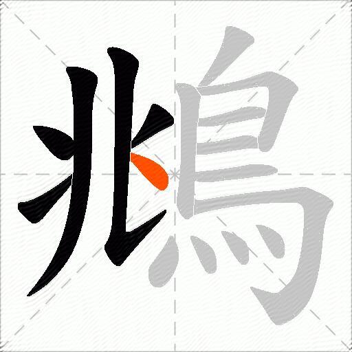 鴵