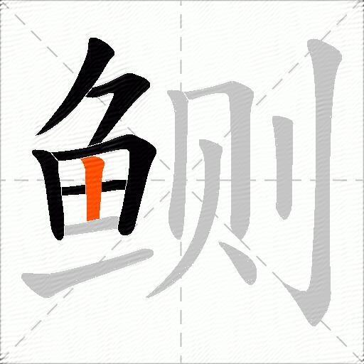 鲗