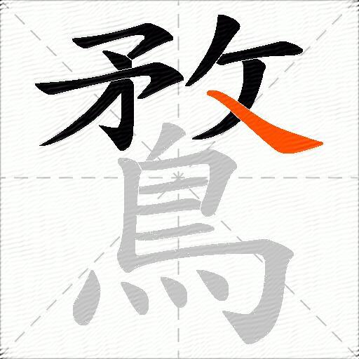 鶩