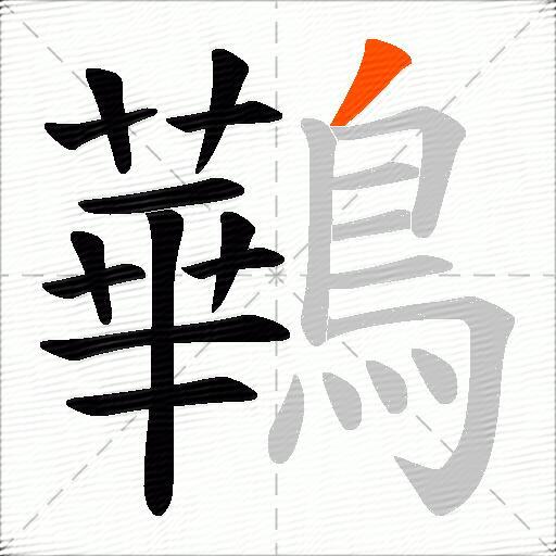 鷨