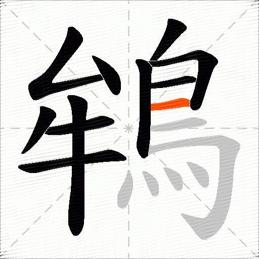鴾