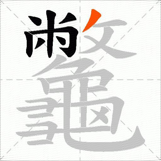 龞