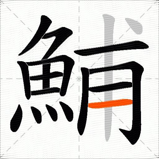 鯆