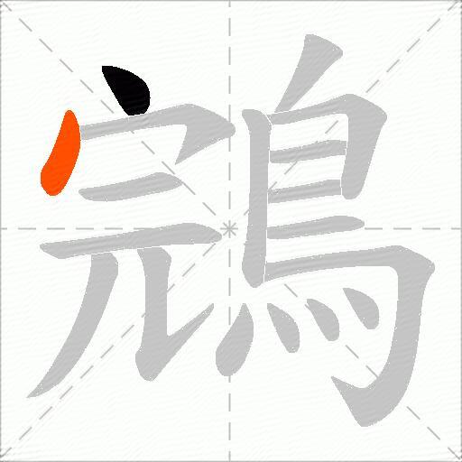 鵍