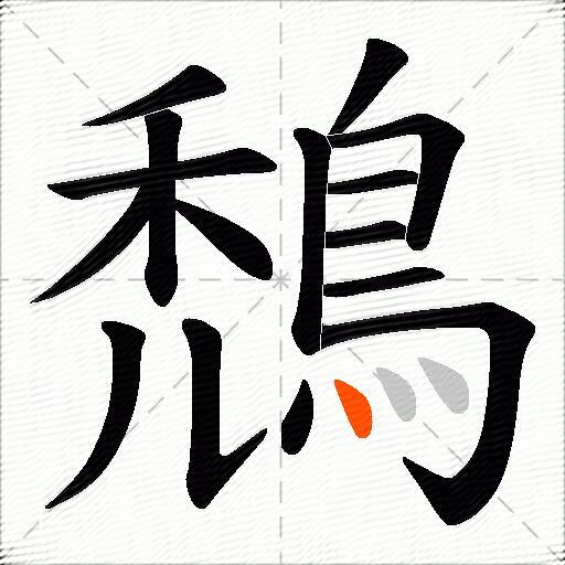 鵚
