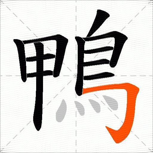 鴨