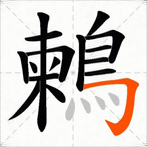 鶫