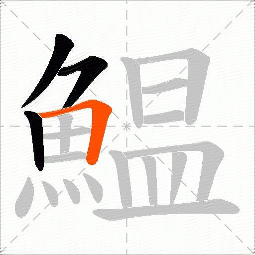 鰛