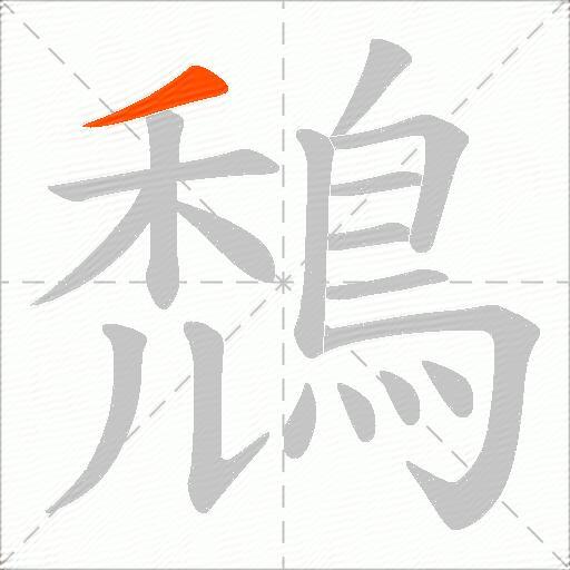 鵚