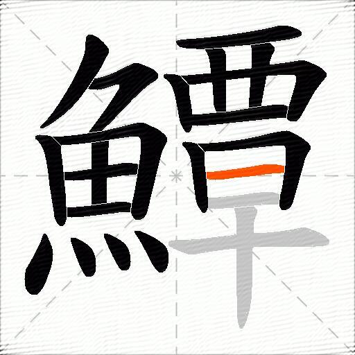 鱏