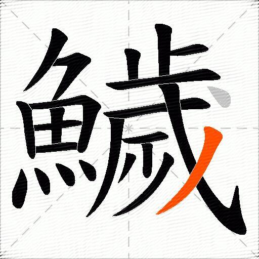 鱥