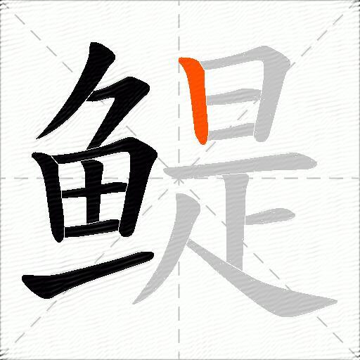 鳀