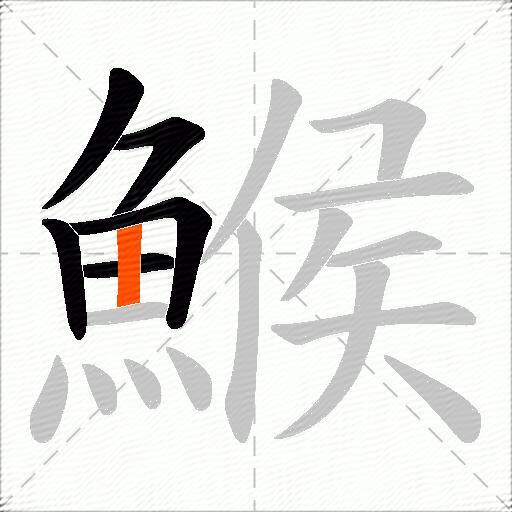 鯸