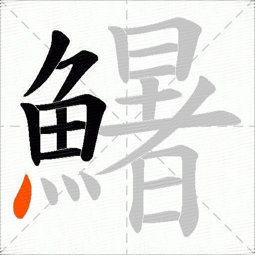 鱪