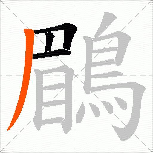鶥
