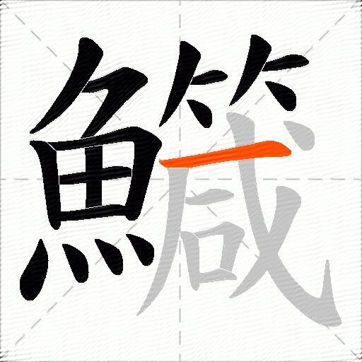 鱵