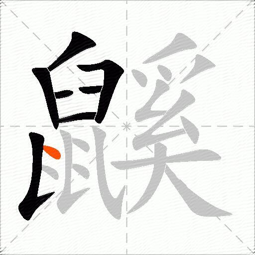 鼷