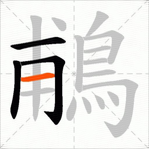 鵏