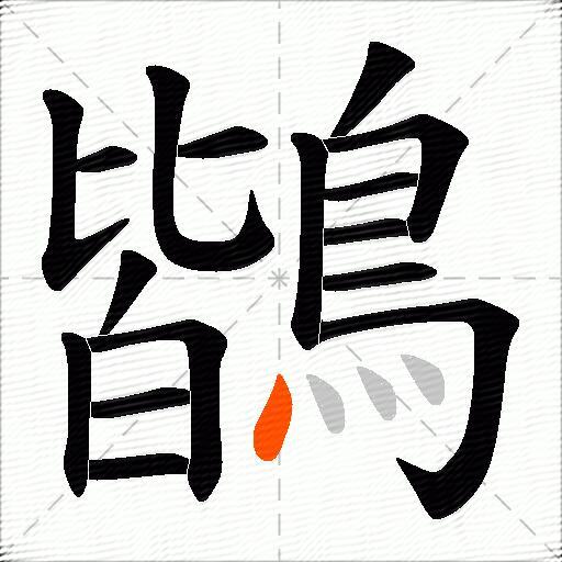 鶛