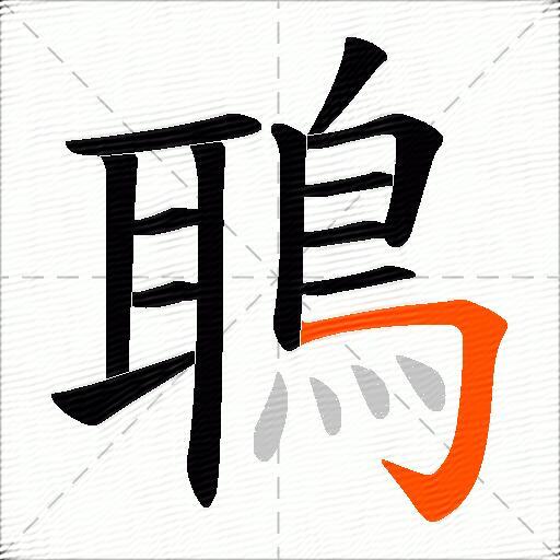 鵈