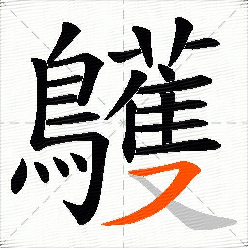 鸌