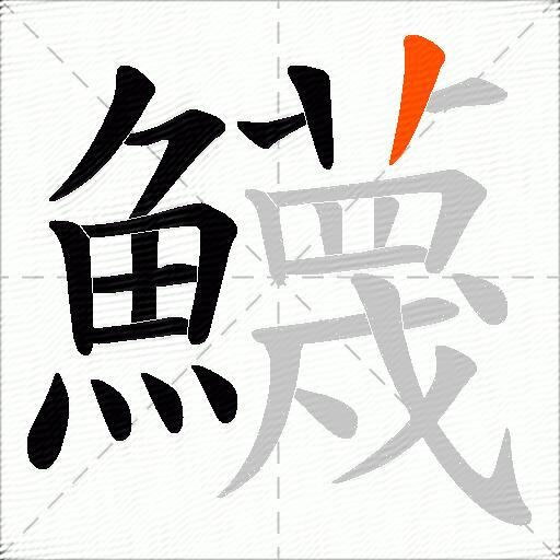 鱴