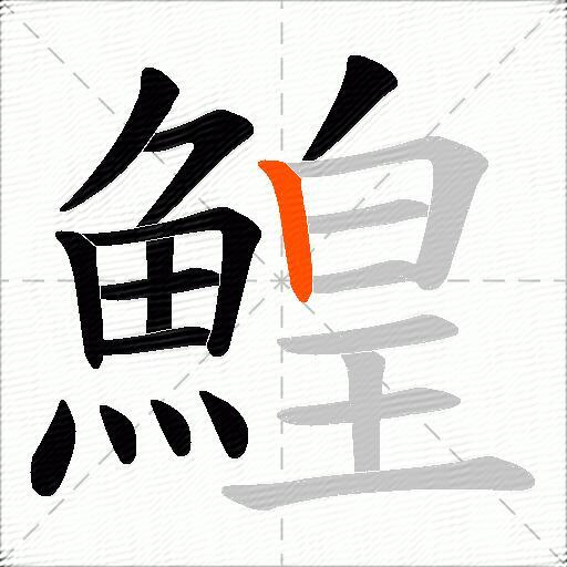 鰉